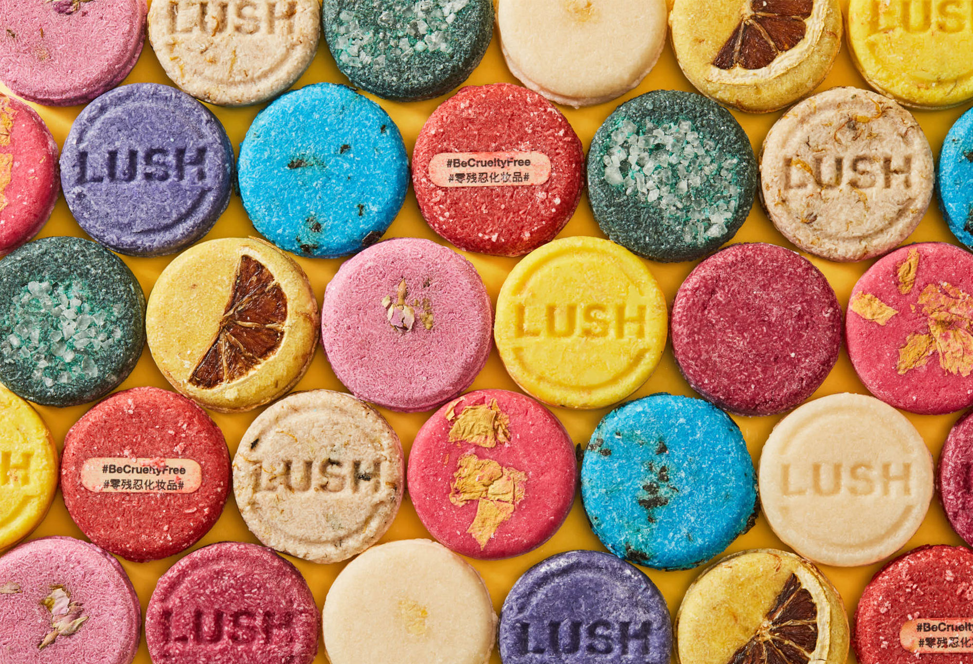 合成保存料 無添加シャンプーバー | 固形シャンプー | LUSH | LUSH